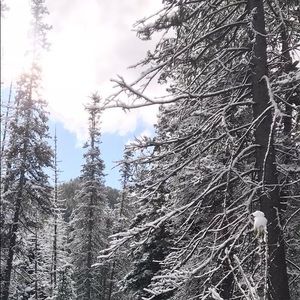 Meet your Posher, Miriam